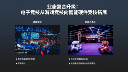 中国文化和科技融合发展战略研究报告(2021)聚焦电竞信息科技